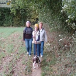 dsc 0524 - Sportraad Zaventem 
